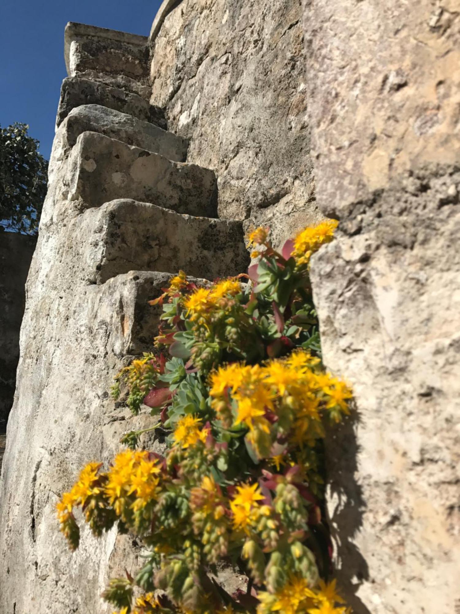 Agritrulli Pension Ostuni Buitenkant foto